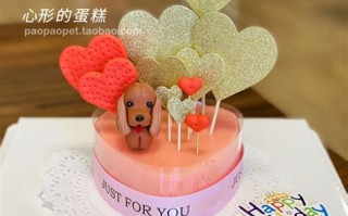 宠物蛋糕制作教程