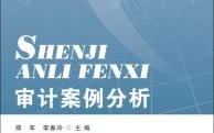 大数据审计案例分析步骤