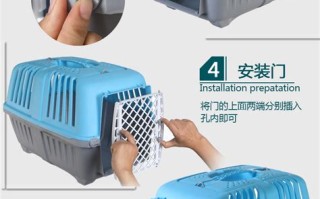 杭州机场宠物托运