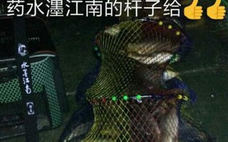 武清斤坑垂钓园介绍
