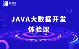 大数据开发是干什么的