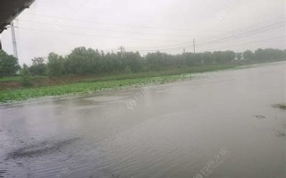 睢县西门里垂钓园地址电话