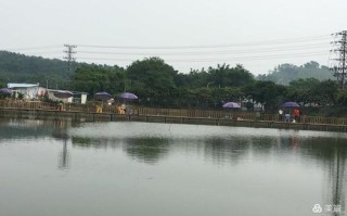 休闲垂钓农庄