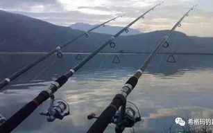 海竿钓鲤鱼线组安装方法