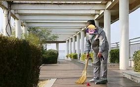远光｜高端保姆不好当每天要写小作文，月薪万不逊大厂中层