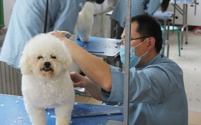 资格要求