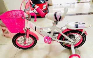 儿童自行车大数据分析与趋势展望