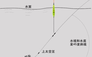 大水面钓鱼要注意哪些怎么选位置