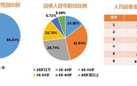 大数据消费记录