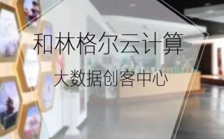 和林格尔大数据是什么单位