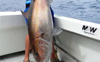 深海垂钓之玩转钓鱼岛有安卓版吗