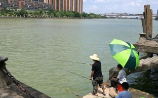 1.选择安全地点