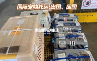 澳洲寄养宠物商店