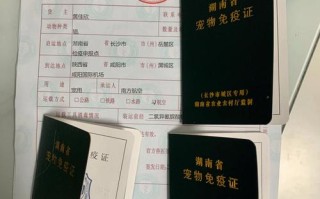 长沙宠物托运快递公司