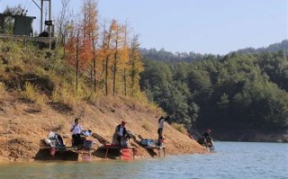 丽水免费钓鱼水库