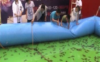 赣县哪有小龙虾钓