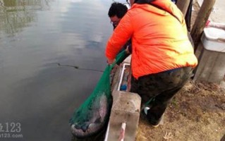 黑坑垂钓价格表