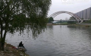 杨柳水库钓翘嘴之心得