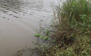 千岛湖钓鱼论坛