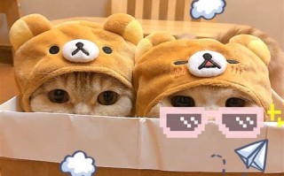 1.创意设计