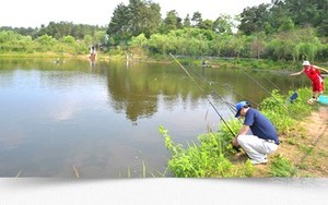 龙泉附近野钓