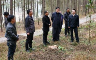 贵州省林下经济高质量发展现场推进会