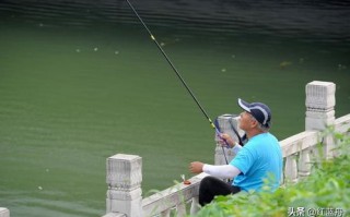 追尾小说百科