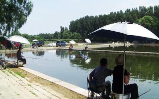沭阳湖东垂钓场