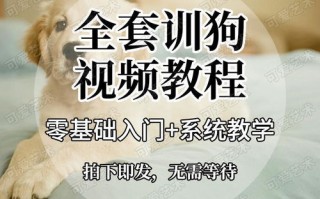 导语
