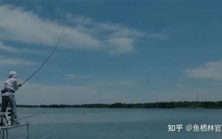 杭州城管处理违章停车app