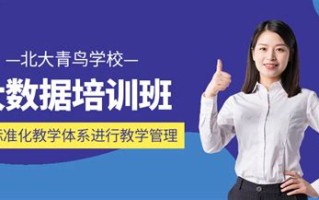 大数据复合型培训是什么