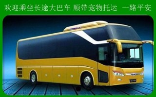 客运宠物大约多少钱一个月