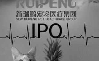 全国哪里的宠物医院最好