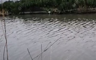 1.西湖