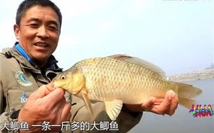 垂钓学院：快乐垂钓技巧
