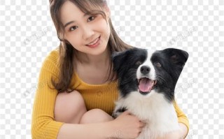 宠物陪伴的意义