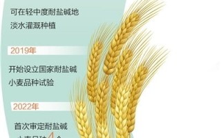 农业大数据的定义