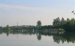阳光湖周边改造项目征收公示