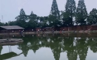 设计要点