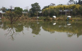 国家湿地公园垂钓政策