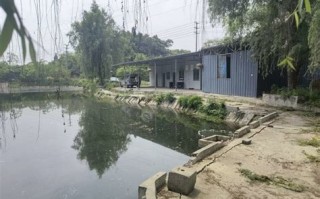 杨柳垂钓园电话号码多少