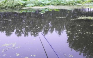 上海浦东垂钓
