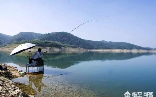 承包水库钓鱼犯法不
