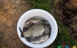 信阳休闲垂钓农家乐