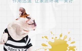 宠物消毒除臭剂怎么用