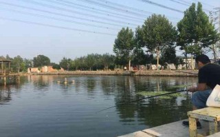 探秘北京太公垂钓园