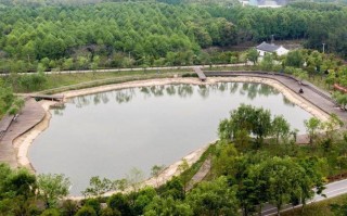 西安皂河公园鱼化