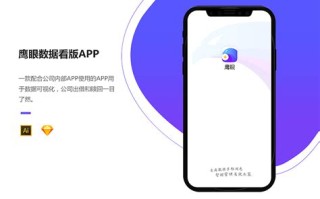 鹰眼大数据信用查询