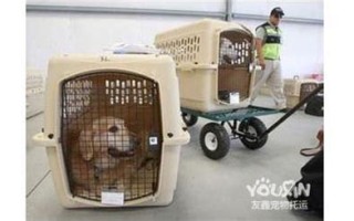 重庆到林芝快递陆运要几天?