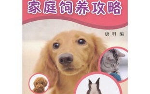 农村适合养的宠物